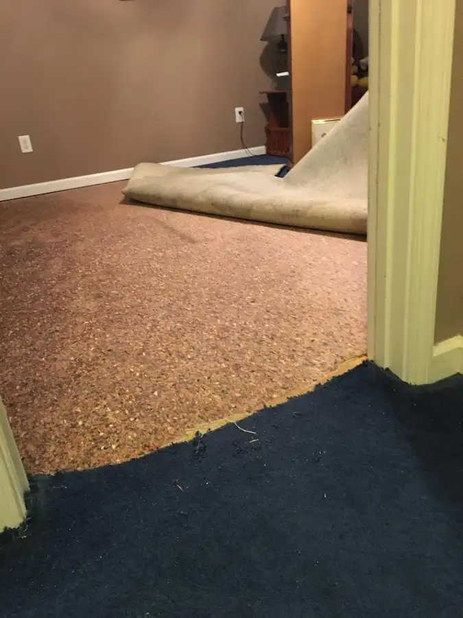 Carpet pad removal revealing water damage during Water Mitigation Services in Saratoga