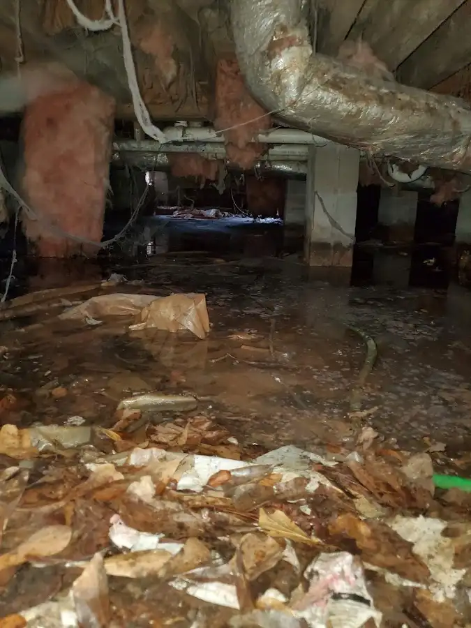 Crawl space flood assessment for Leak Detection & Repair in Saratoga